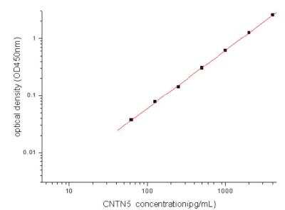 Sandwich ELISA Contactin-5 Antibody Pair [HRP]